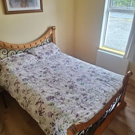 度假居 Limerick On The Wild Atlantic Way