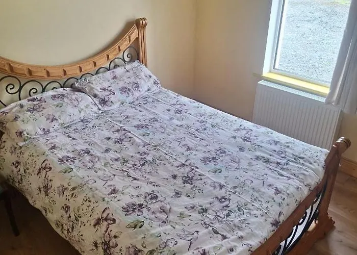 度假居 Limerick On The Wild Atlantic Way